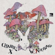 Covermotiv - Channel X - Wonderland